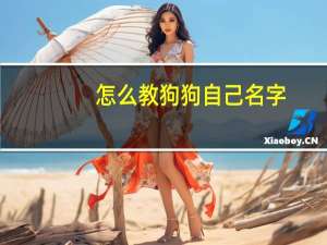 怎么教狗狗自己名字