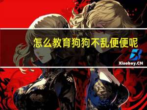 怎么教育狗狗不乱便便呢