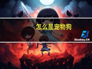 怎么是宠物狗