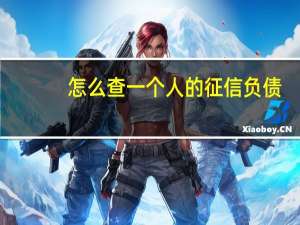 怎么查一个人的征信负债