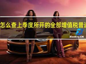 怎么查上季度所开的全部增值税普通发票