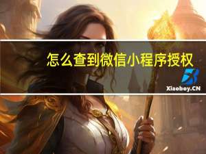 怎么查到微信小程序授权