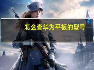 怎么查华为平板的型号