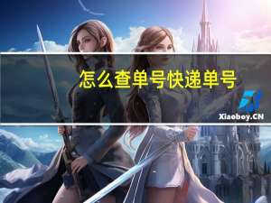 怎么查单号快递单号