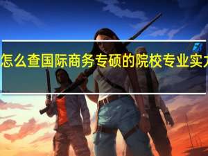 怎么查国际商务专硕的院校专业实力排名