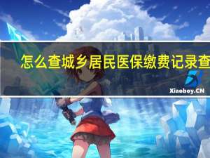 怎么查城乡居民医保缴费记录查询