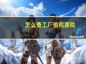 怎么查工厂偷税漏税