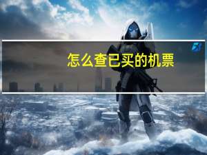 怎么查已买的机票