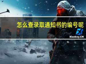 怎么查录取通知书的编号呢