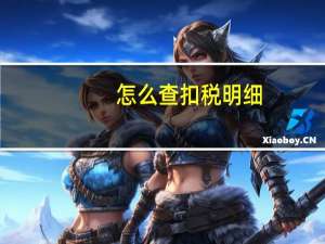 怎么查扣税明细