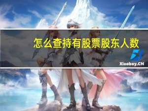 怎么查持有股票股东人数