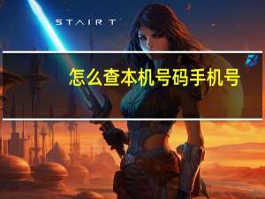 怎么查本机号码手机号（怎么查本机号码）