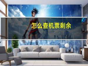 怎么查机票剩余
