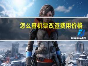 怎么查机票改签费用价格