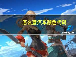 怎么查汽车颜色代码