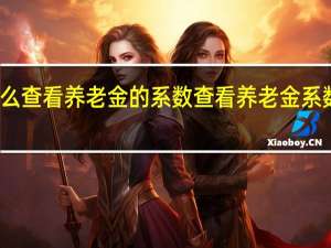 怎么查看养老金的系数　查看养老金系数的方法