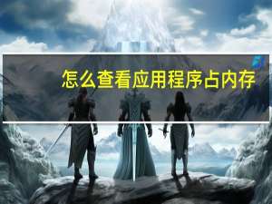 怎么查看应用程序占内存