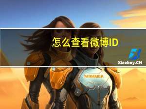 怎么查看微博ID
