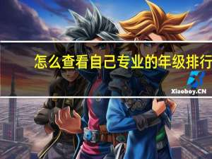 怎么查看自己专业的年级排行