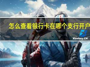 怎么查看银行卡在哪个支行开户的