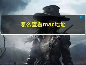 怎么查看mac地址