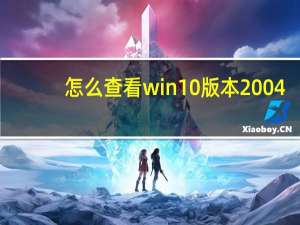 怎么查看win10版本2004（怎么查看win10版本号）