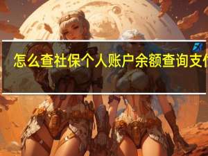 怎么查社保个人账户余额查询支付宝（怎么查社保个人账户）