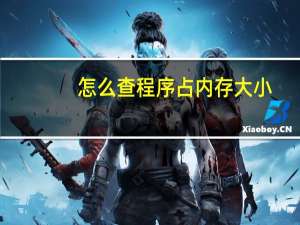 怎么查程序占内存大小