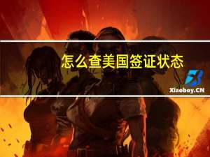 怎么查美国签证状态