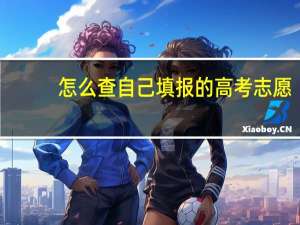 怎么查自己填报的高考志愿