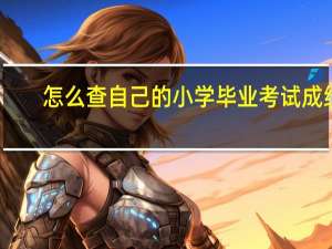 怎么查自己的小学毕业考试成绩