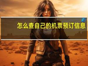 怎么查自己的机票预订信息