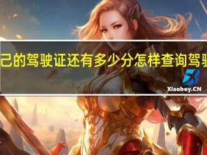 怎么查自己的驾驶证还有多少分 怎样查询驾驶证还有多少分