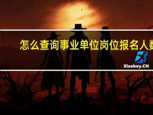 怎么查询事业单位岗位报名人数
