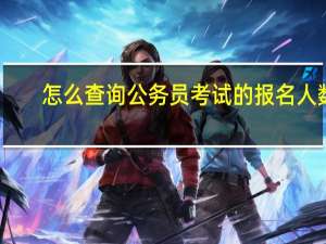 怎么查询公务员考试的报名人数？
