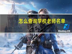 怎么查询学校老师名单