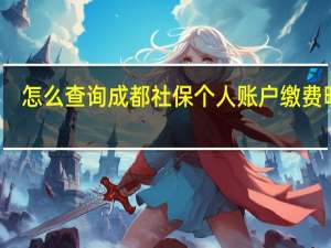 怎么查询成都社保个人账户缴费明细
