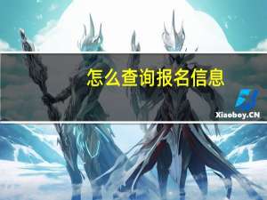 怎么查询报名信息