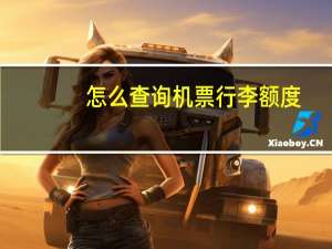 怎么查询机票行李额度
