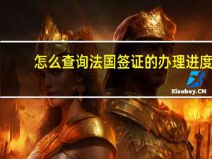 怎么查询法国签证的办理进度
