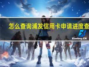 怎么查询浦发信用卡申请进度查询（怎么查询浦发信用卡申请进度）
