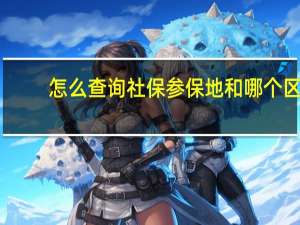 怎么查询社保参保地和哪个区