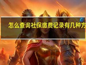 怎么查询社保缴费记录　有几种方式