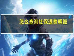 怎么查询社保退费明细