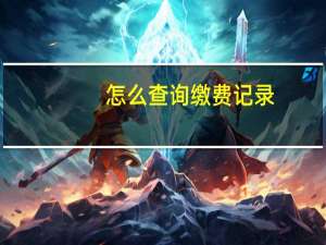 怎么查询缴费记录