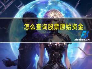 怎么查询股票原始资金