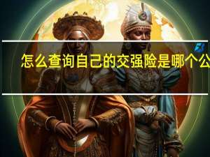 怎么查询自己的交强险是哪个公司