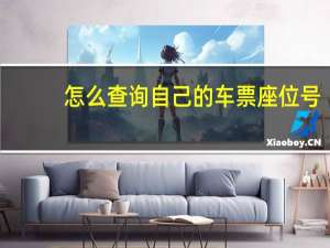 怎么查询自己的车票座位号