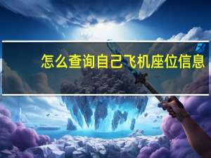 怎么查询自己飞机座位信息