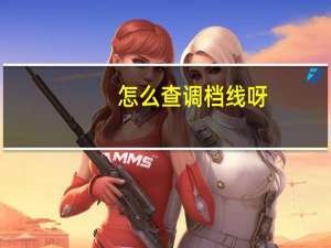 怎么查调档线呀